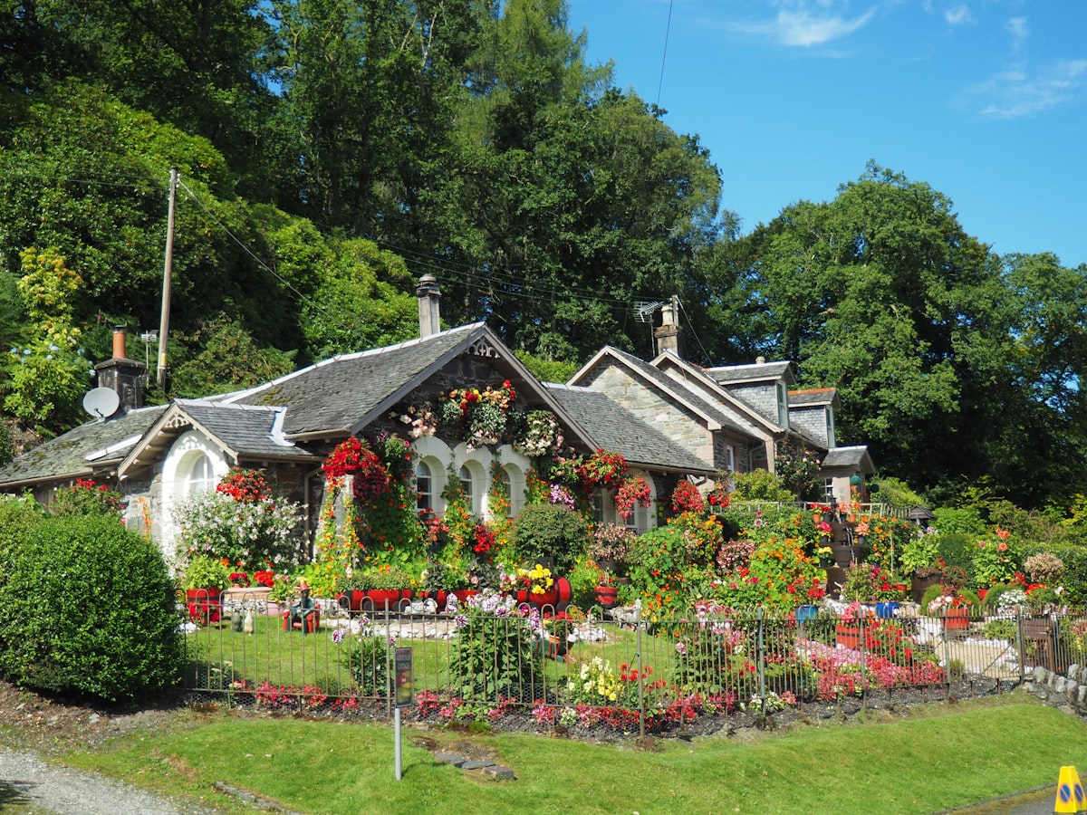Garden & Exterior Care by Joseph and Co professional cleaners